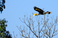 Kaeng Krachan National Park - Ban Krang Road